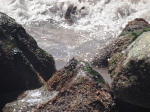 P3095544_s