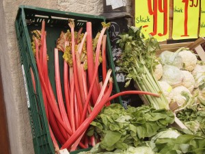 first rhubarb spotting of the season