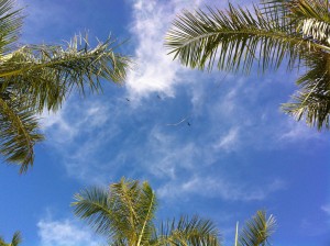 poolside_view_up